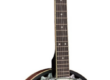 Guitar Banjo